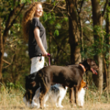 ¿Te gustan los animales? Fórmate en oficios relacionados con el mundo animal